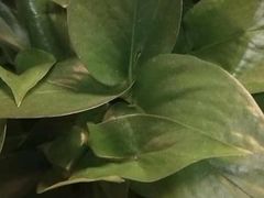 -鸥迪足道(建大店)