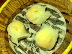 -肥佬夜茶(早茶·西乡店)