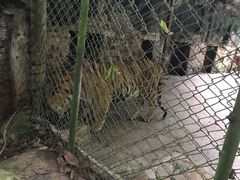 -海南热带野生动植物园
