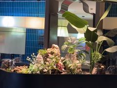 -映像威海·威海宴(威高广场店)