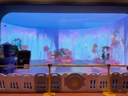 -超级奈尔宝SUPER NEOBIO(杭州星光店)