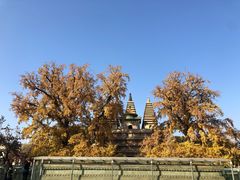 -北京石刻艺术博物馆(五塔寺)