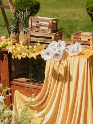 -明典婚礼策划·婚车租赁·婚纱摄影