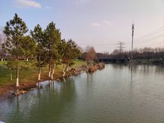 -九里河湿地公园
