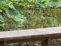 -迎泽公园