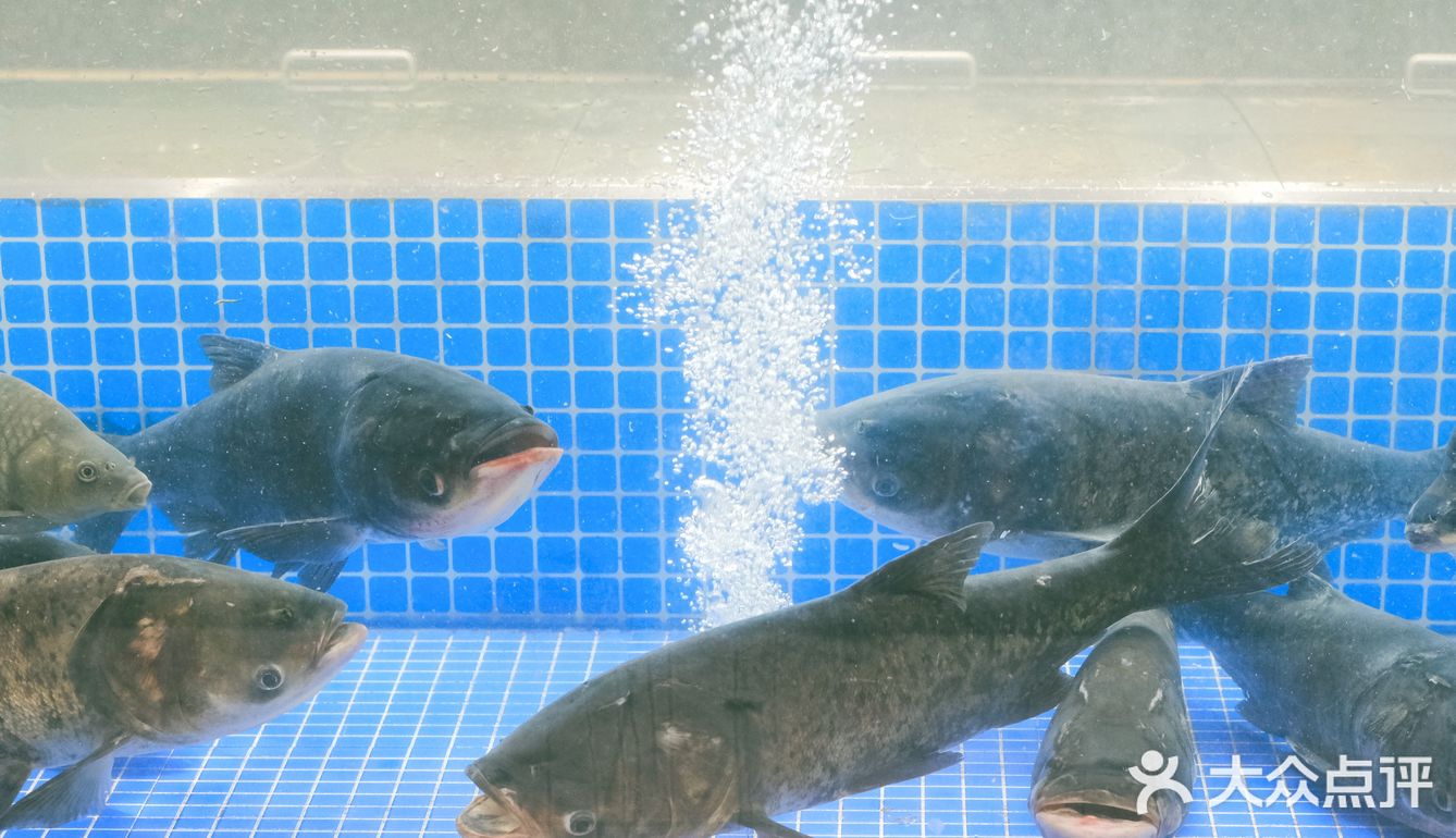 新派农家风味 【一江春水】