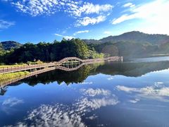 -海南热带雨林国家公园吊罗山景区