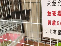 -清平路水族市场