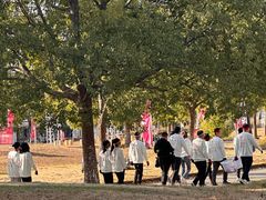 -上海都市菜园