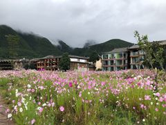 -大洛水码头