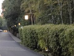 -天目湖涵田度假村
