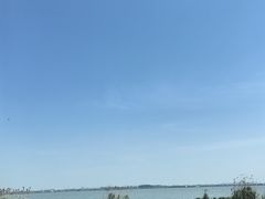 -莲花岛景区