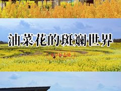 -三圣花乡旅游区