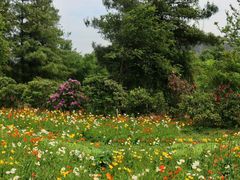 -名花谷生态庄园