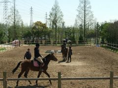 游乐设施-上海长兴岛郊野公园