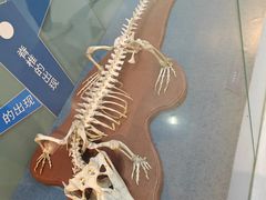 -国家自然博物馆