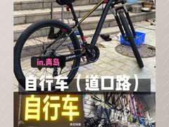 -道路口单车爱瓦士dahon大行