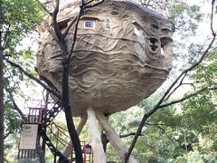 -天门沟九州驿站树上汤泉