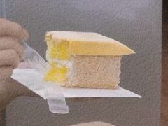 -蒲公英(五里店)
