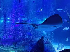 -沈阳海洋探索中心