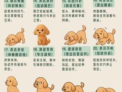 -美联众合动物医院·24h转诊中心