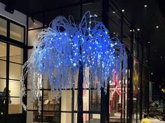 -T館·花园艺术餐厅