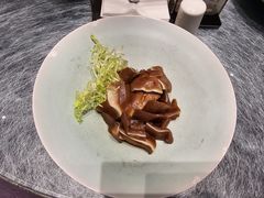 -丁老爷子苏香圆