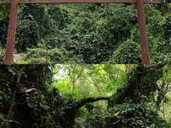 -广西龙虎山风景区