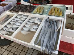 -江杨农产品批发市场