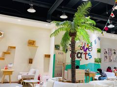 -藏猫猫咖啡主题馆(中央大道店)