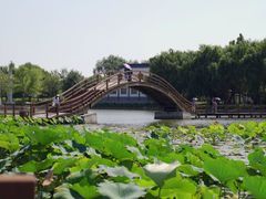 -白洋淀风景区