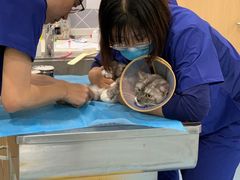 -萌兽医馆·犬猫专科·眼科中心·宠物医院(朝阳门分院)