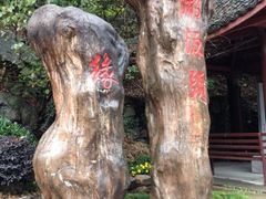 太湖源景区-太湖源风景区