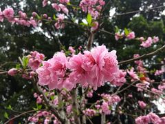 -乌山风景区