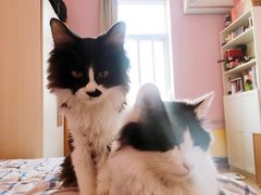 -吕氏疙瘩汤·私家菜馆(慈云寺店)