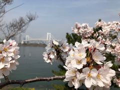 -台场海滨公园船码头