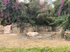 -成都动物园