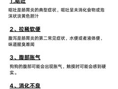-美迦爱-牙专科·兔科·骨科诊疗中心(北苑店)