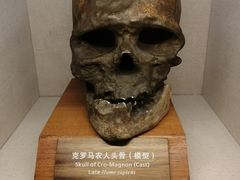 -上海市民办金苹果学校