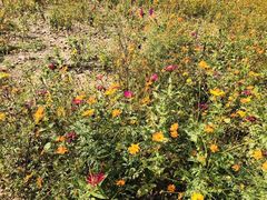 -沕沕水生态风景区