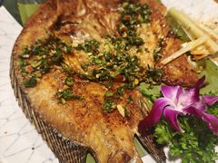 -紫滇源云南生态菜(丹凤街店)