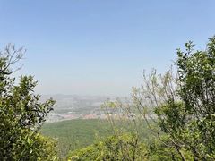 -紫金山山顶公园