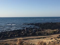 -Cafe Aewol Monsant