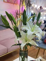 -美肤盾祛痘·问题肌头疗管理中心