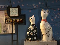 -猫咪博物馆(顶澳仔猫街店)