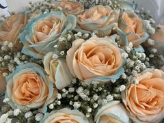 -天津波士信达奔驰4S店(卫津南路店)