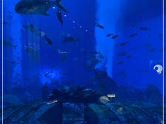 -亚特兰蒂斯•OSSIANO奥西亚诺海底餐厅