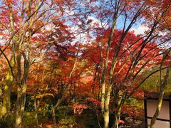 -常寂光寺