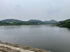 -青龙山国家森林公园