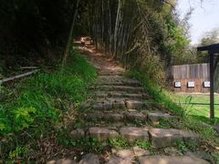 -莫干山风景区